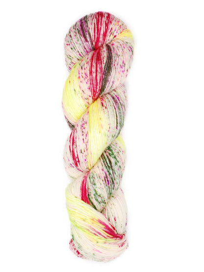 araucania huasco sock hand painted yarn