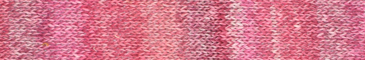 araucania junto yarn